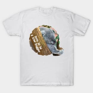 Tree Hugger Koala T-Shirt